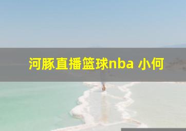 河豚直播篮球nba 小何